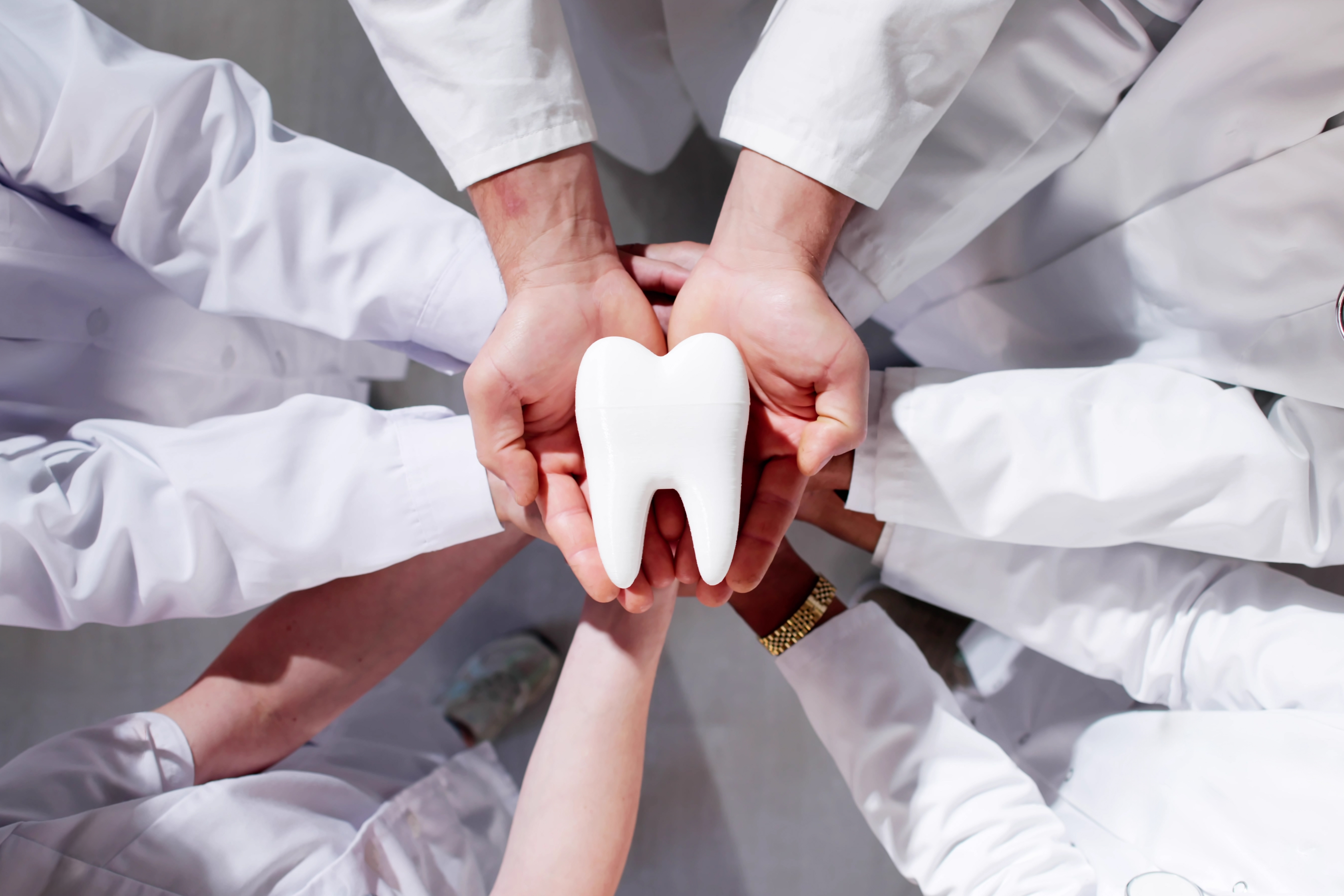Dental team members holding tooth model together showing teamwork and care